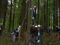 Maibaum_2018 (23)